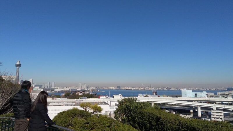 Heart of Yokohama Walking: Experience Hill Area - Highlights