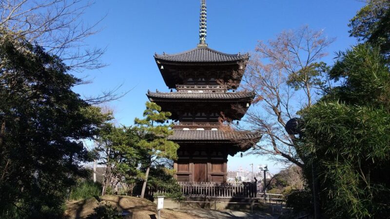 Heart of Yokohama Walking: Experience Hill Area - Exclusions