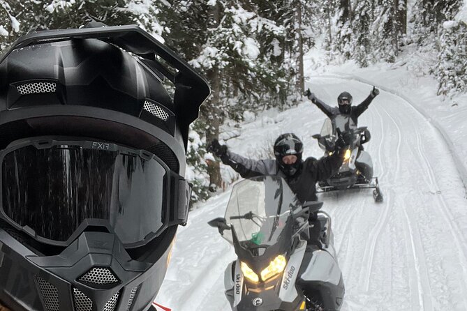 Heart Six Snowmobiling in Jackson Hole - Guided Tour and Ecosystem Exploration