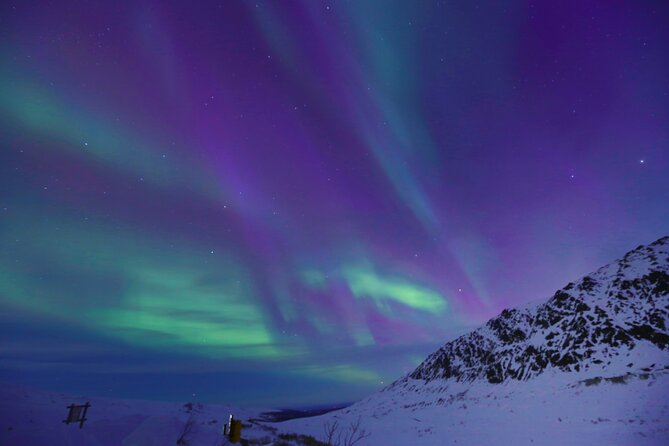Heated and Enclosed Snow ATV Tour in Alaska Open All Year Round - Accessibility and Restrictions