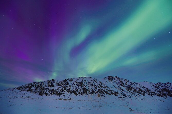 Heated and Enclosed Snow ATV Tour in Alaska Open All Year Round - Cancellation Policy