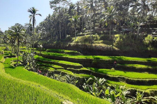 Heaven Gate, Tirtagangga and Tukad Cepung Waterfall - All Inclusive - Customer Reviews
