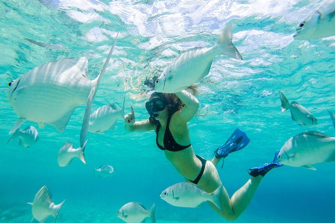 Heaven Snorkel by Private Boat - Inclusions and Amenities
