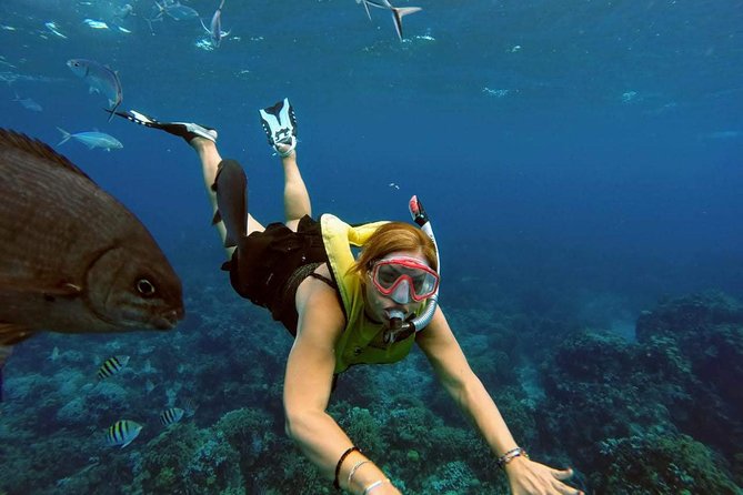 Heaven Snorkel by Private Boat - Availability and Booking Details