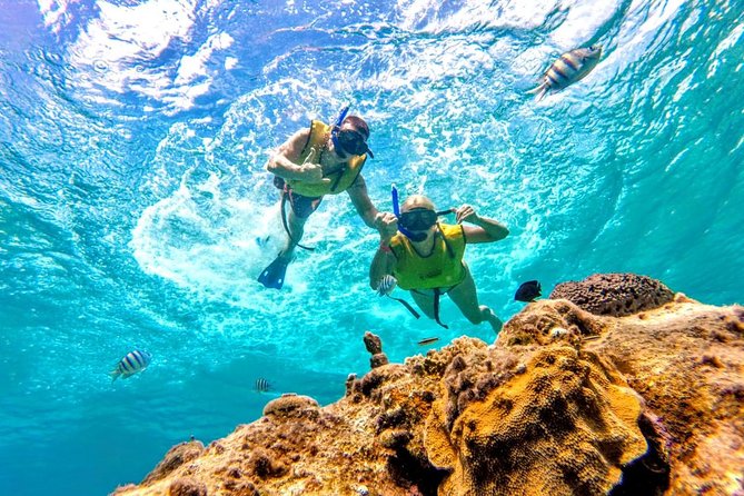Heaven Snorkel by Private Boat - Guided Snorkeling Experience