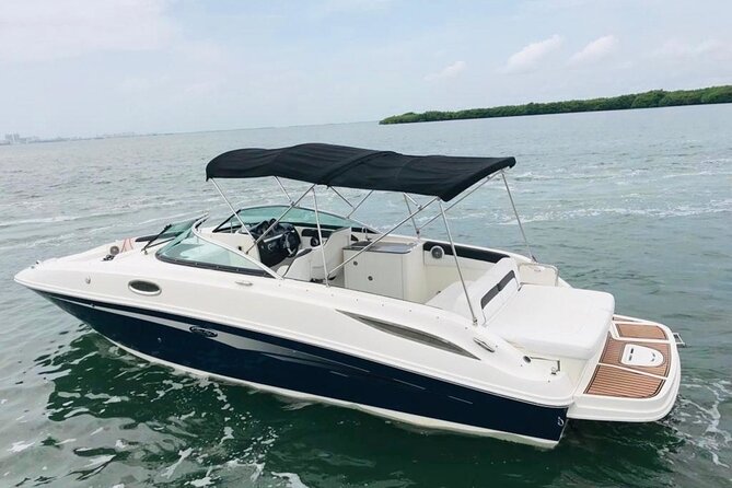 Heaven Snorkeling on a Private Boat With Champagne and Lunch - Customer Feedback