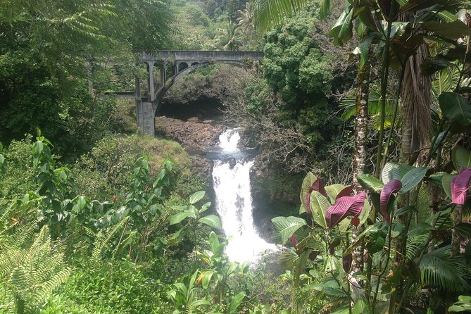 Heavenly Hamakua: From Kona - Additional Information
