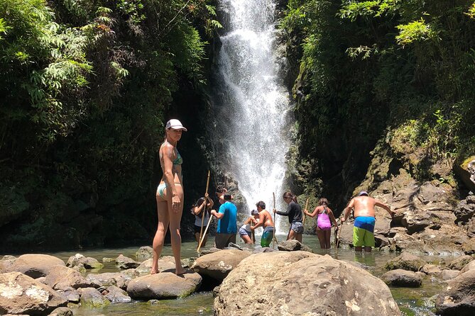 HEAVENLY HANA TOUR (private) - Tour Accessibility