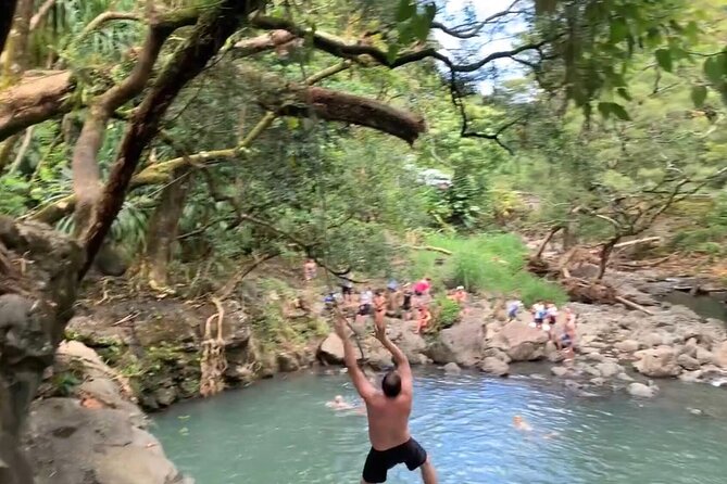 HEAVENLY HANA TOUR (private) - Customer Reviews