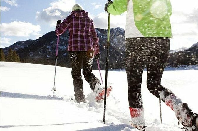 Heavenly Tahoe Snow Shoe Tour With A Local Guide - The Sum Up: Who Should Book This Tour?