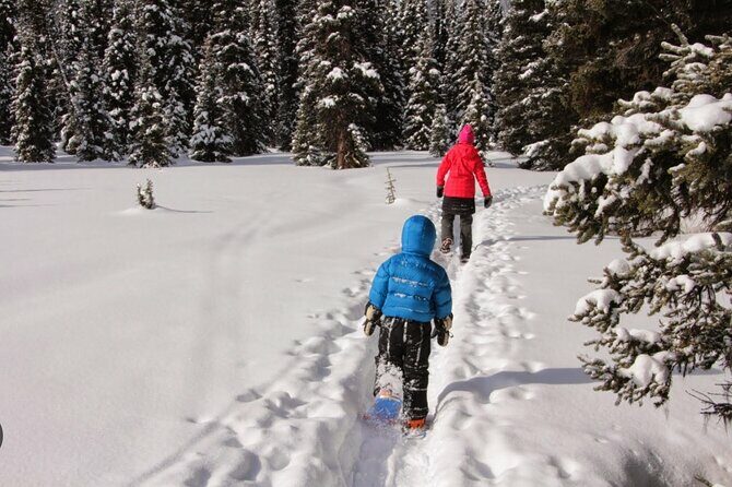 Heavenly Tahoe Snow Shoe Tour With A Local Guide - Frequently Asked Questions