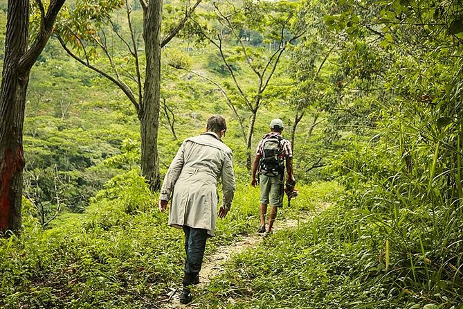 Heeloya Village Trek From Kandy - Good To Know