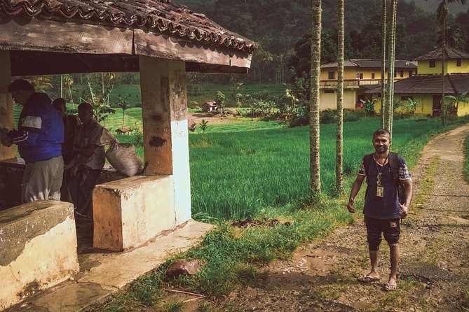 Heeloya Village Trek From Kandy - Exploring the Local Temples