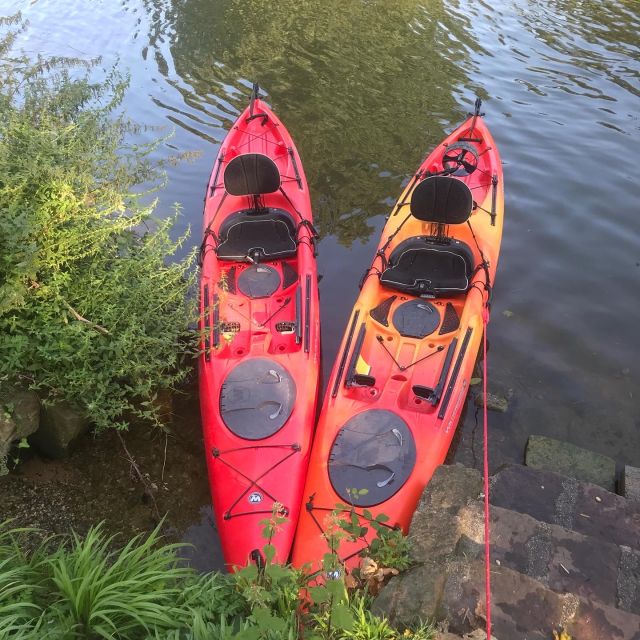 Heidelberg: 2-Hour Kayak Tour - Guided Sightseeing