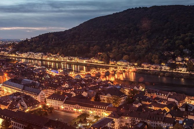 Heidelberg and Rhine Valley Day Trip With Wine Tasting and Dinner From Frankfurt - Inclusion and Logistics
