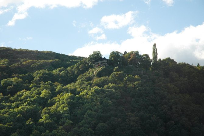 Heidelberg and Rhine Valley Day Trip With Wine Tasting and Dinner From Frankfurt - Traveler Experiences