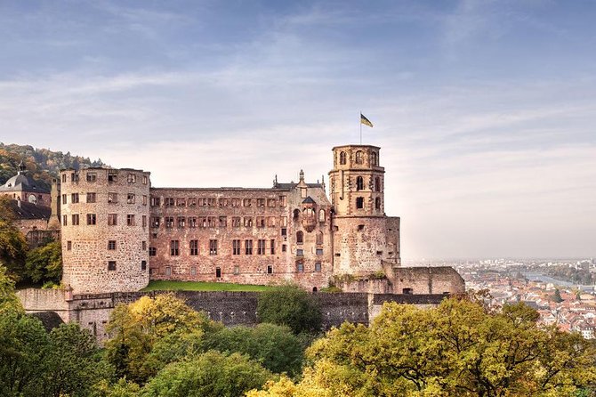 Heidelberg and Schwetzingen Castles Day Trip From Frankfurt - Cancellation and Refund Policy