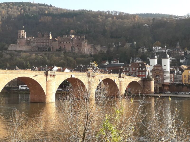 Heidelberg: Bachelor Party Beer Challenge - Pricing and Booking Details