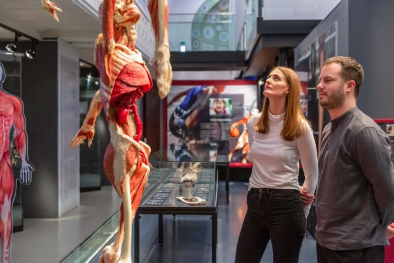 Heidelberg: BODY WORLDS Museum Entrance Ticket - Highlights