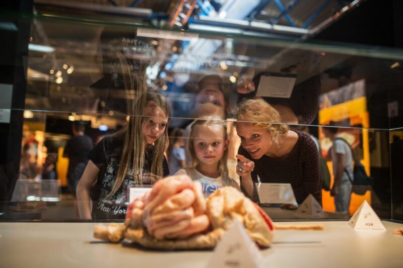 Heidelberg: BODY WORLDS Museum Entrance Ticket - Exhibition Overview