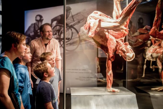 Heidelberg: BODY WORLDS Museum Entrance Ticket - Interactive Exhibits