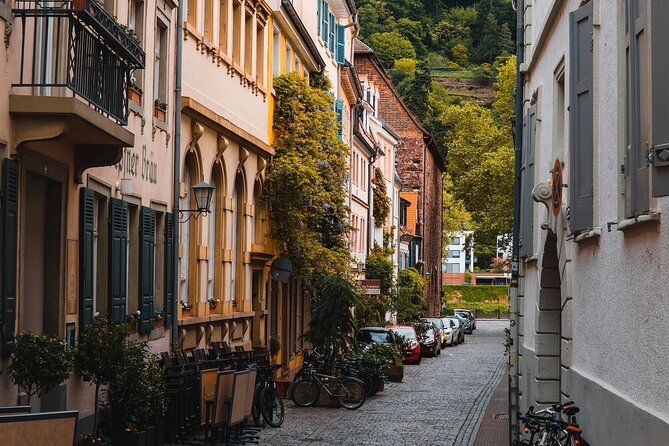 Heidelberg Castle and City Day Tour From Frankfurt - Traveler Information