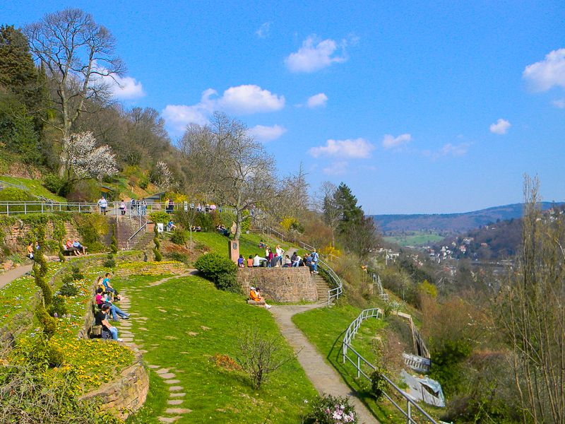 Heidelberg Castle Tour: Residence of the Electors - Architectural Highlights