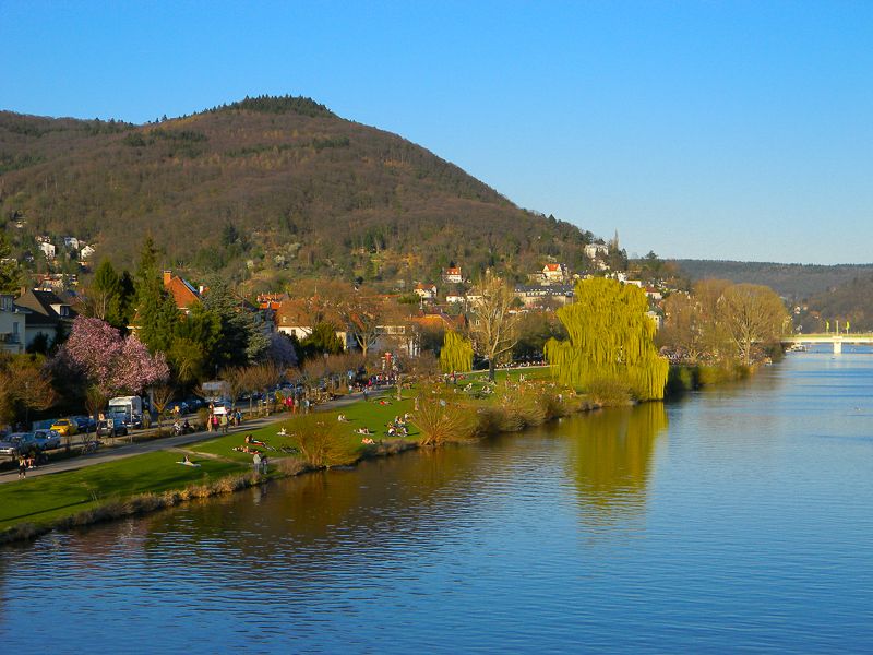 Heidelberg: City of Romance 2-Hour Walking Tour - Exploring Heidelbergs Old Town