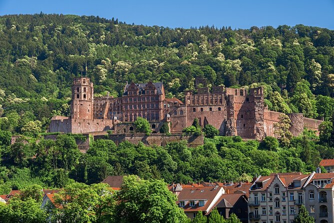 Heidelberg Heritage: Private Old Town and Castle Tour - Meeting Location