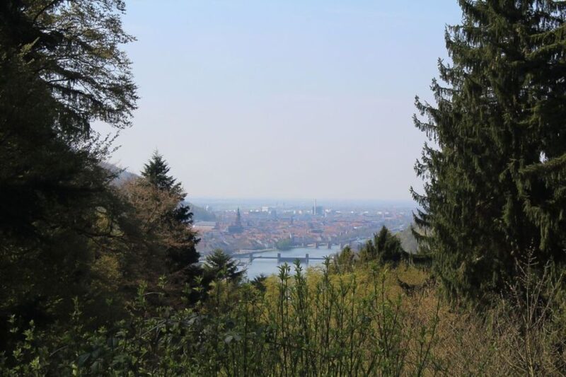 Heidelberg Highlights Segway Tour With Castle - Key Points