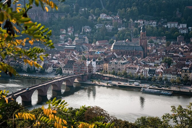 Heidelberg Like a Local: Customized Private Tour - Pricing and Cancellation Policy