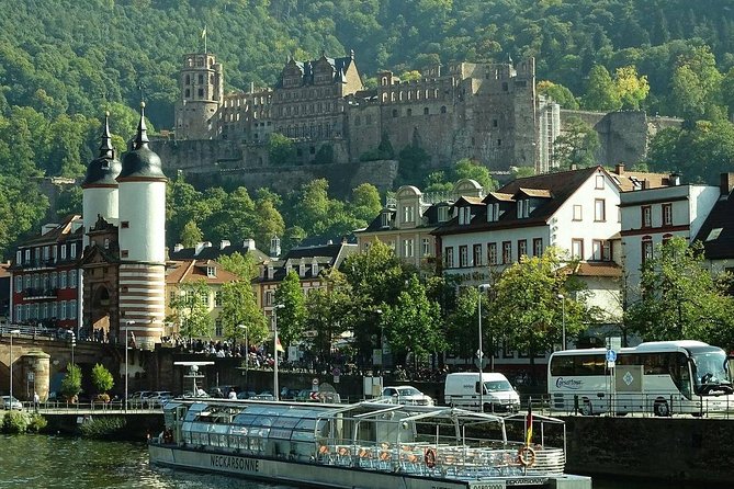 Heidelberg Old Town Private Walking Tour Including Castle Visit - Meeting and Accessibility