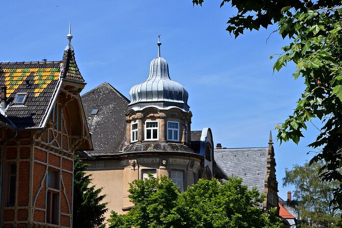 Heidelberg Private Walking Tour With A Professional Guide - Customizing the Tour