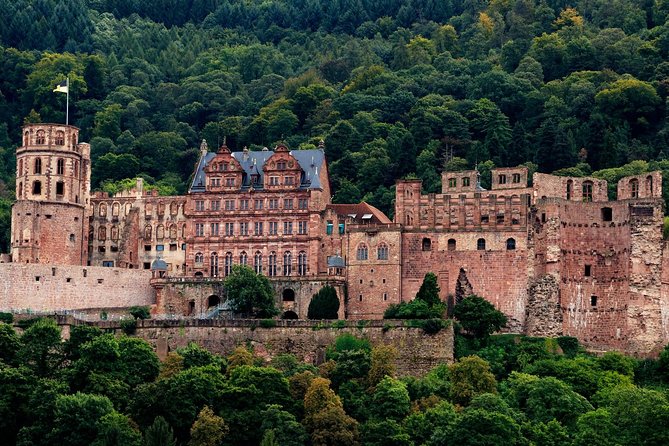 Heidelberg Public Walking Tour With A Professional Guide - Availability and Booking Process