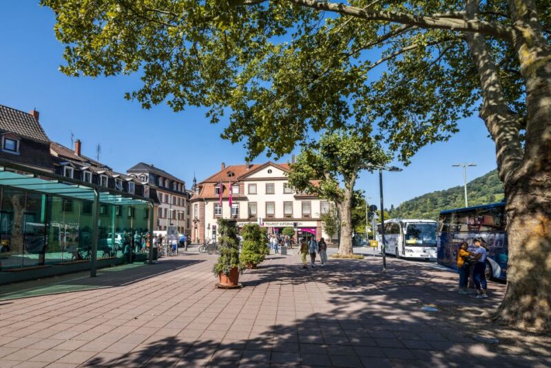 Heidelberg: Sightseeing Bus and Castle Tour - Booking Information