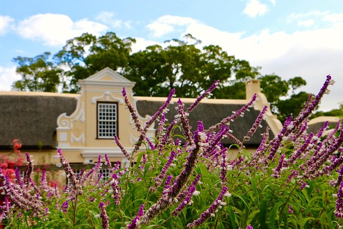 Helderberg Valley Winelands Day Tour With Private Transfer - Customization Options