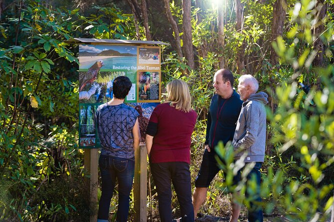 Heli-Scenic Abel Tasman Experience - Accessibility & Accommodations