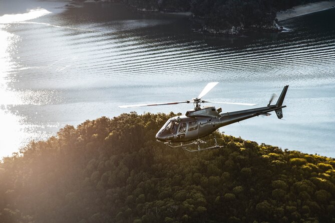 Heli-Scenic Abel Tasman Experience - Traveler Ratings