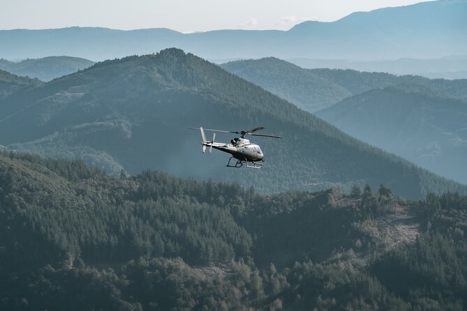 Heli-Scenic Nelson Mountain Adventure - Reviews