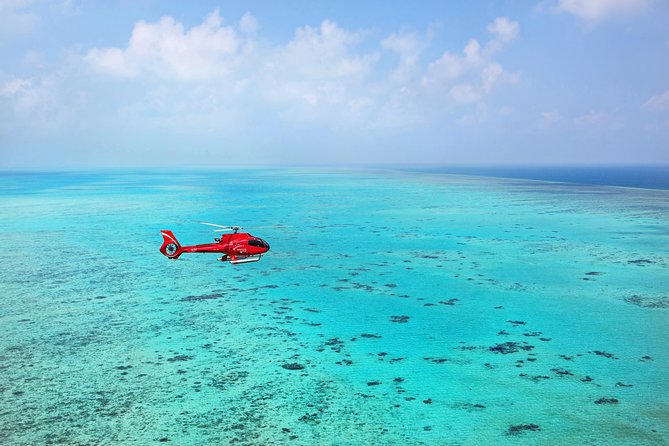 Helicopter & Cruise Great Barrier Reef Package From Port Douglas - Snorkeling at Agincourt Reef