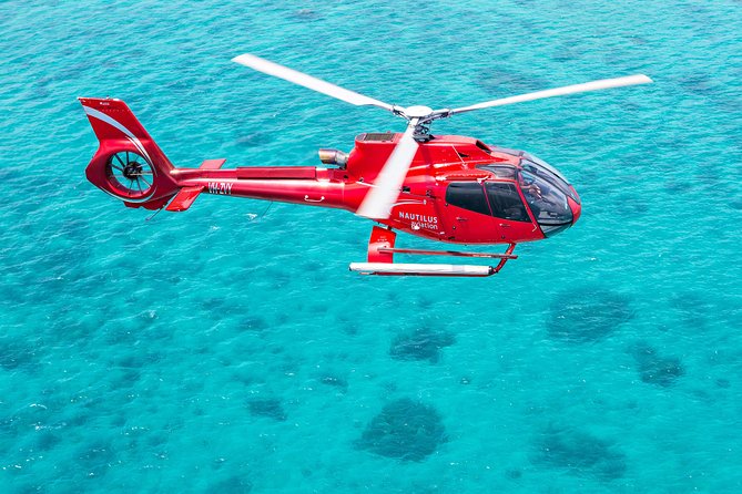Helicopter & Cruise Great Barrier Reef Package From Port Douglas - Marine Life Spotting Opportunities