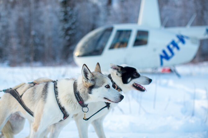 Helicopter Glacier Dogsled Tour + Lower Glacier Landing - ANCHORAGE AREA - Prohibited Items