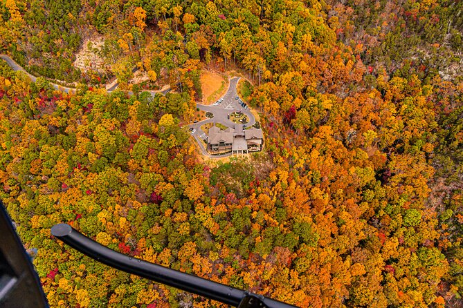 Helicopter Ride in Smoky Mountain Sevierville Mountain Jumper - Accessibility and Participation
