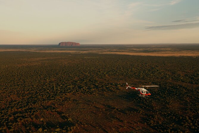 Helicopter Scenic: Lizard Safari - Customer Experiences and Reviews