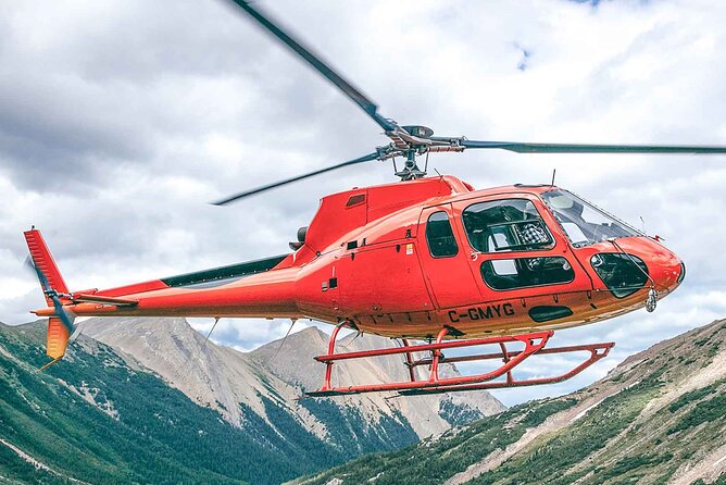 Helicopter Tour Over the Canadian Rockies - Customer Reviews