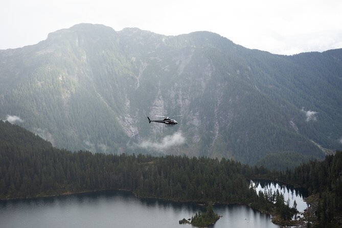 Helicopter Tours of BCs Backcountry (Depart YPK) - Weight Restrictions