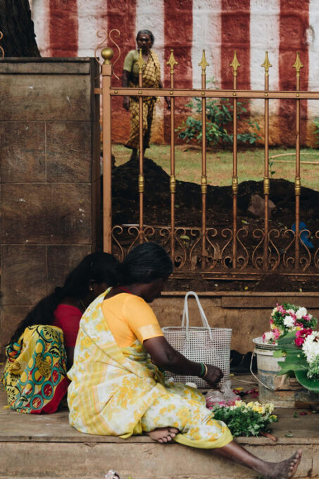 Hello Madurai - Explore Madurai Like a Local - Taking in Dairy Farm Life