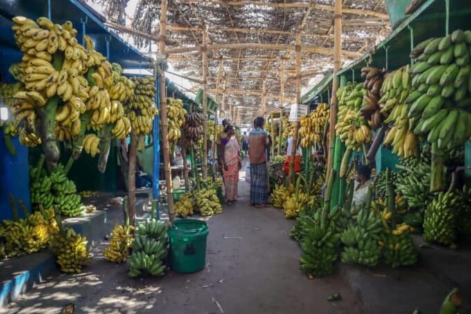 Hello Madurai - Explore Madurai Like a Local - Frequently Asked Questions