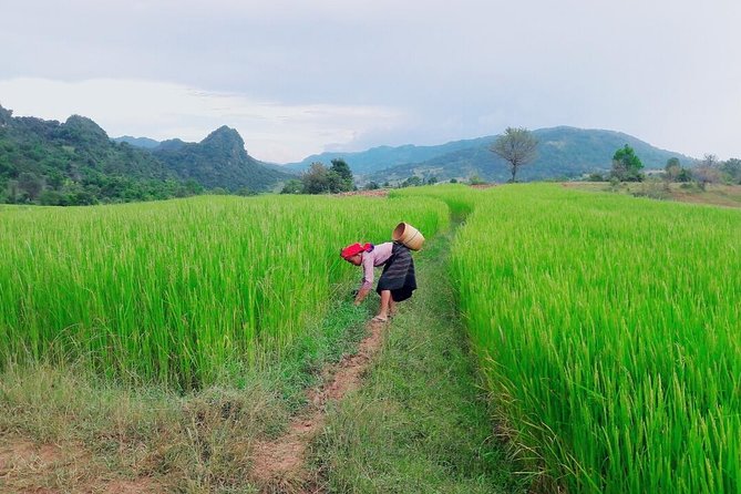 Hello, Who Like to Make Fantastic Trek With the Most Experienced Guide in Kalaw. - Experienced Local Guides for Unforgettable Journeys