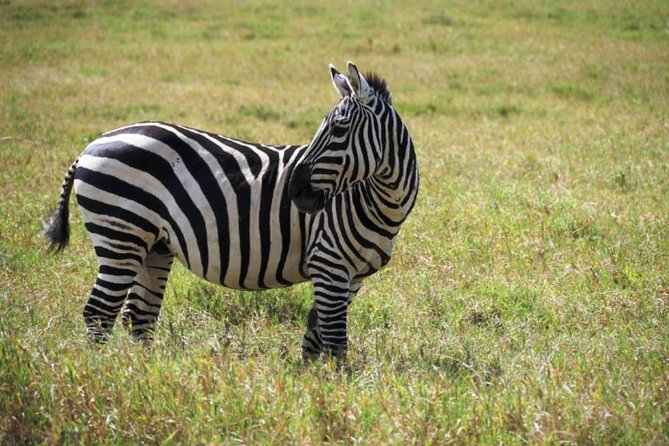Hells Gate Excursion in Naivasha - Pricing and Cancellation